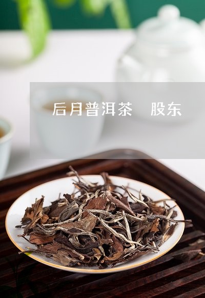 后月普洱茶 股东/2023041083938